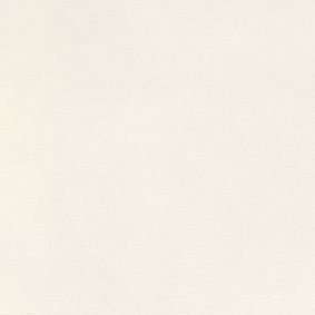 Soft White Wood Swatch