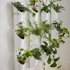 Umbra Floralink Wall Vessel, Set of 3