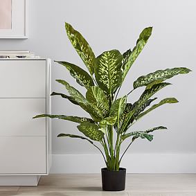 Dieffenbachia Faux Plant