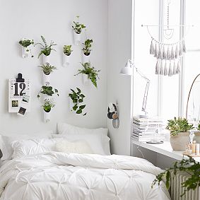 Umbra Floralink Wall Vessel, Set of 3