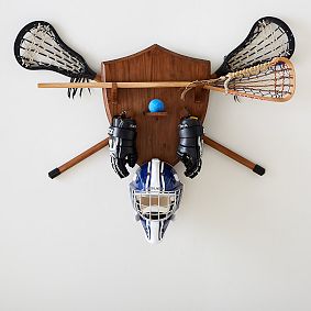 Lacrosse Storage Organizer