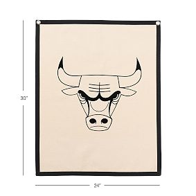 NBA Canvas Flag