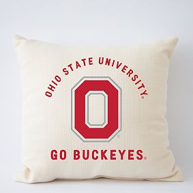 College Filled Pillow