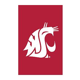 College Logo Appliqué Flag