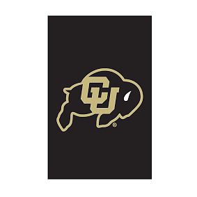 College Logo Appliqué Flag