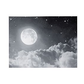 Moody Full Moon Recycled Tapestry
