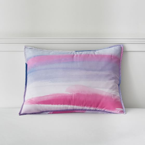 west elm x pbt Painted Sky Sham