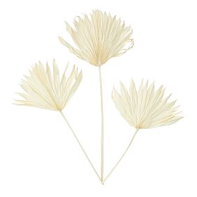 Dried Palm Leaf Bundle- Set of 3- Natural