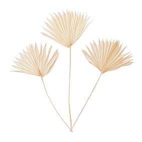 Dried Palm Leaf Bundle- Set of 3- Blush