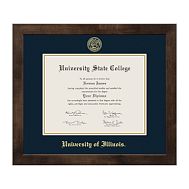University of Illinois Diploma Frame - Mocha