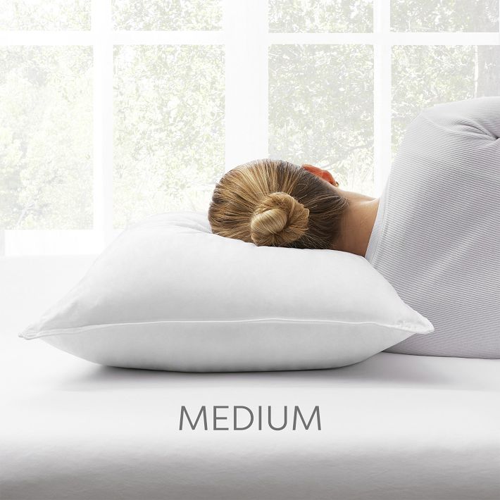 Stay Chill Standard Pillow Insert | Pottery Barn Teen