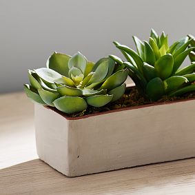 Faux Potted Succulent Arrangement