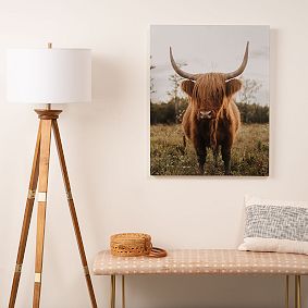 Highland Cow Art