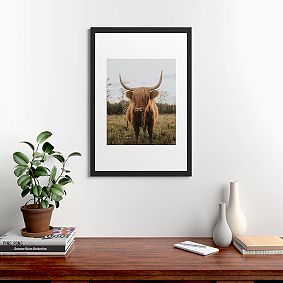 Highland Cow Art