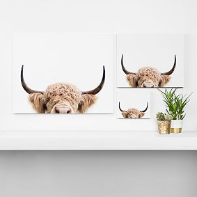 Peeking Cow Art
