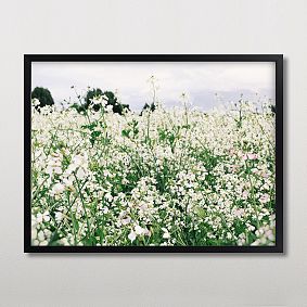 Minted® Dream Field Framed Art by Morgan Kendall