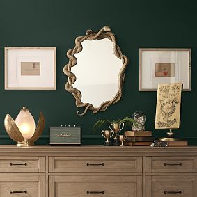 Harry Potter™ Wizarding World Nagini™ Mirror (18"x27")