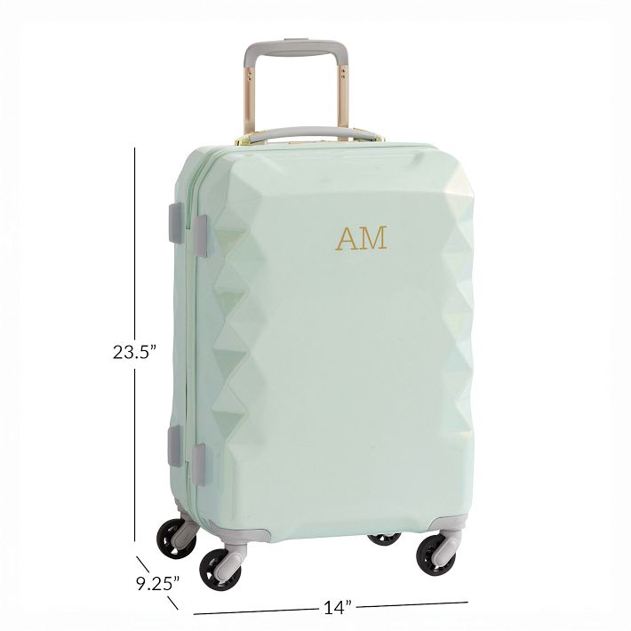 Panland ローテナーパン　スタンド　ハードケース　マレット　全てセット luxe-hard-sided-mint-carry-on-