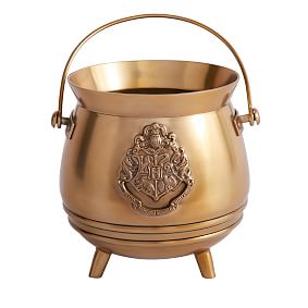 Harry Potter Cauldron Planter