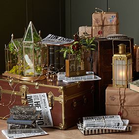 Harry Potter™ Herbology Bud Vase