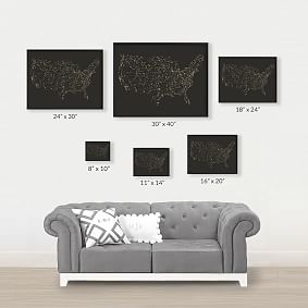 Minted® USA Night Sky Map Framed Art by Jessie Steury