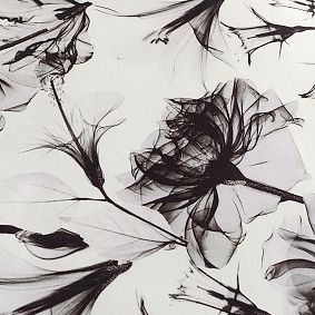Monique Lhuillier Shadow Floral Sateen Duvet Cover