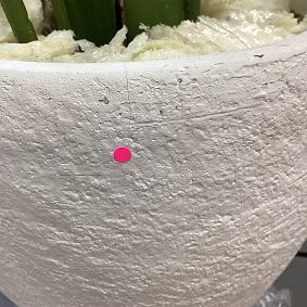 Open Box: Travelers Artificial Palm Tree