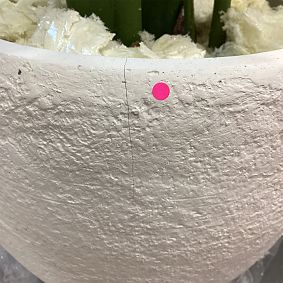 Open Box: Travelers Artificial Palm Tree