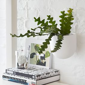 west elm x pbt Ceramic Wallscape Planter