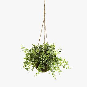 Eucalyptus, Maiden Hair, and Berry Hanging Basket (S/3)