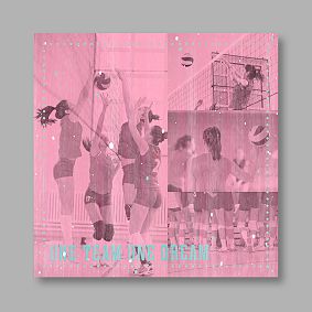 Volleyball Wall Mural