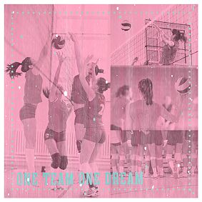 Volleyball Wall Mural