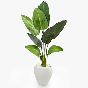 Travelers Artificial Palm Tree