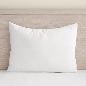 West Elm European Linen Standard Sham
