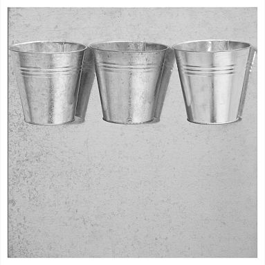 Galvi Bins