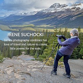 Minted® Hoops and Palms Canvas Art by Irene Suchocki