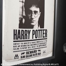 Harry Potter<sup>&trade;</sup> Framed Undesirable Art, 18"x24"