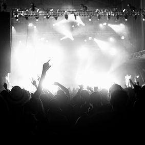 Concert Wall Mural
