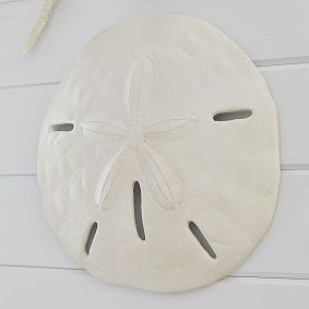 Resin Sand Dollar Decor, Set Of 2