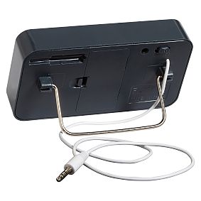 Must Have Mini Speakers