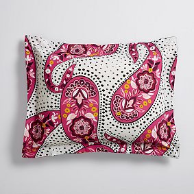 Retro Paisley Standard Sham