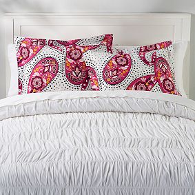 Retro Paisley Standard Sham