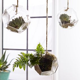 Hanging Glass Terrarium