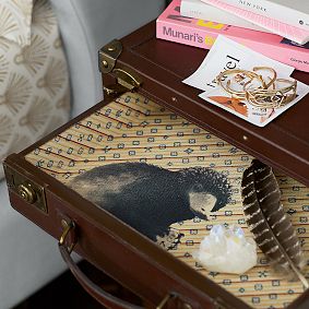 FANTASTIC BEASTS™ Newt Scamander™ Suitcase Shelf