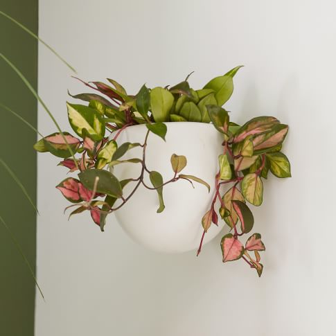 Art &amp; Wall Decor