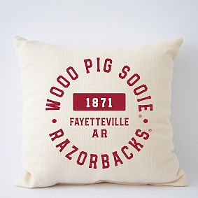 College Filled Pillow