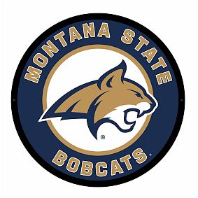 College Logo LED Round Wall Decor