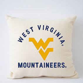 College Filled Pillow