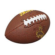 Collegiate Mini Size Composite Football - University of Wyoming