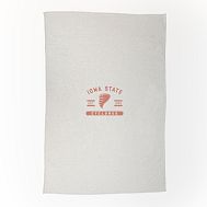College Oatmeal Sweatshirt Oversized Throw - Iowa State University